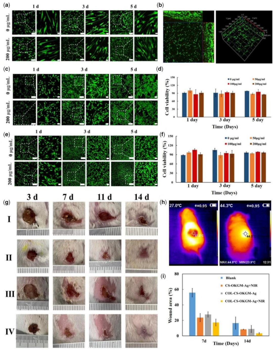 医用抗菌水凝胶怎么用RB 速递 ｜ 四川大学魏清荣副研究员团队：基于胶原蛋白的可注射自修复多功能水凝胶在感染性伤口再生修复中的应用_https://www.jmylbn.com_新闻资讯_第6张