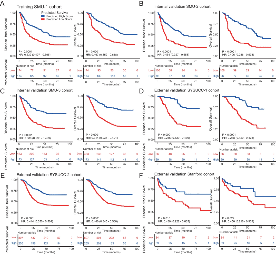 人工智能技术与生物医学的碰撞