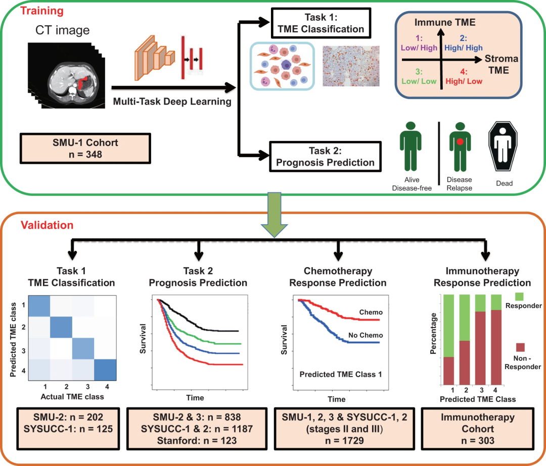 人工智能技术与生物医学的碰撞