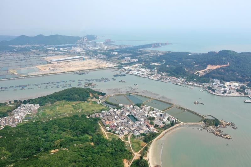 中华白海豚回归饶平柘林湾