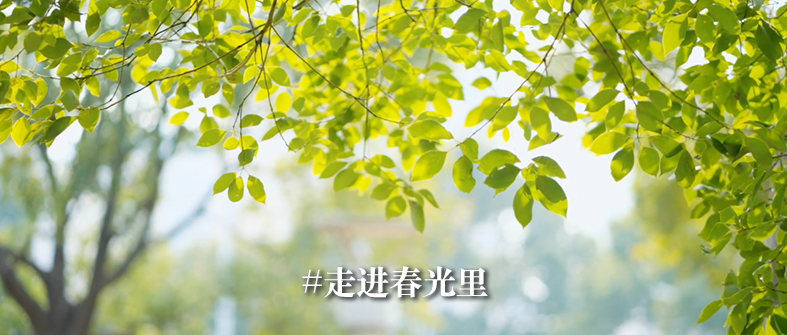 医院耗材为什么要托管紧密型城市医疗集团，闵行这么建设！_https://www.jmylbn.com_新闻资讯_第7张