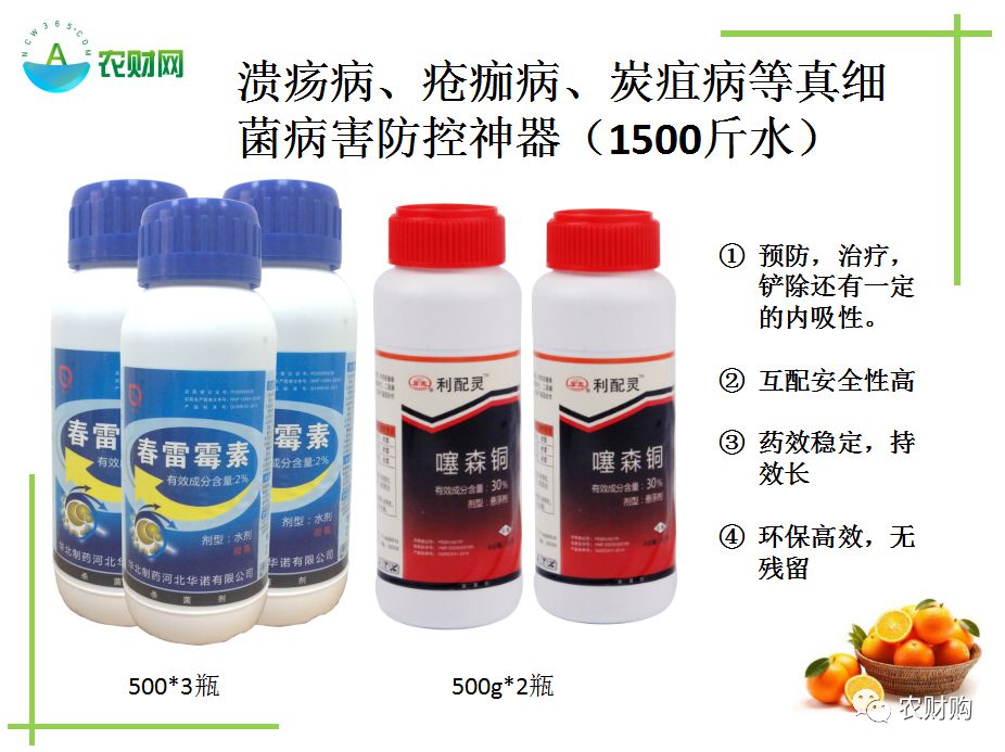 药害怎么处理?因为干旱而黄叶是怎样的?这种表面缺锌的树怎么办?