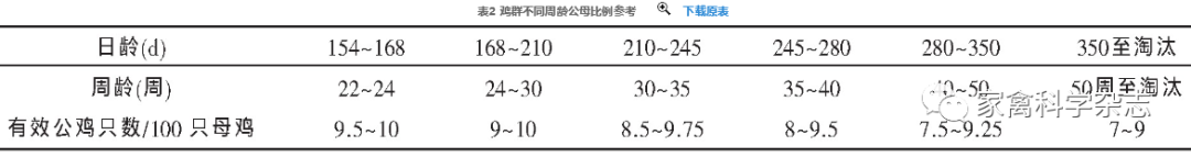 怎么约周围的鸡现代肉种鸡产蛋高峰后饲养管理关键控制点（下）_https://www.jmylbn.com_新闻资讯_第15张
