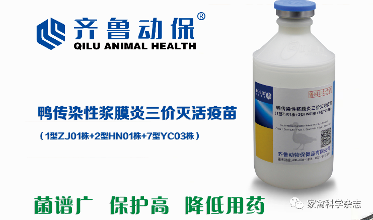 小柴胡汤在禽病临床上的应用