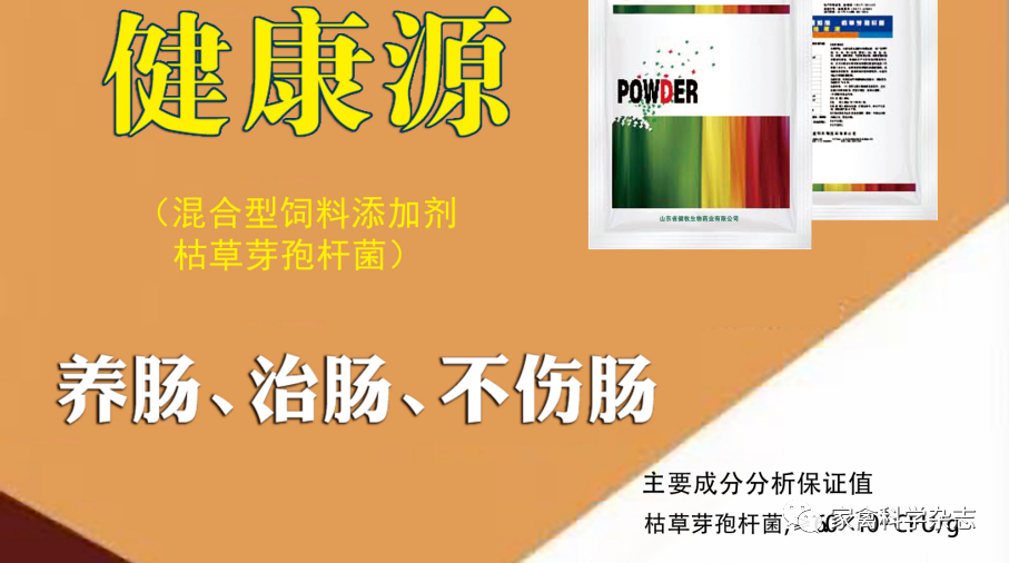 怎么约周围的鸡现代肉种鸡产蛋高峰后饲养管理关键控制点（下）_https://www.jmylbn.com_新闻资讯_第4张