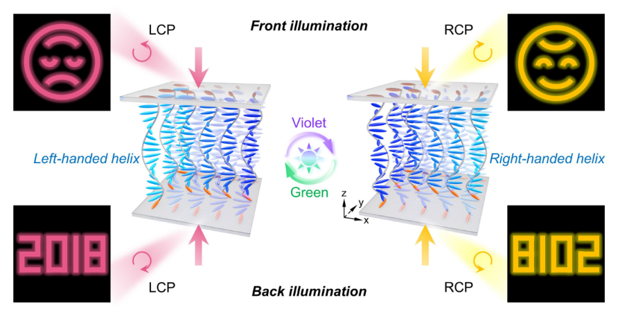 基于光响应手性超结构的动态多维全息复用 行业新闻 第2张