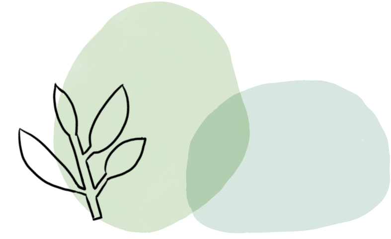 狼牌胆道镜怎么装新技术丨我院成功开展腹腔镜下微创胆道镜手术（LCBDE），快来了解一下！_https://www.jmylbn.com_新闻资讯_第8张