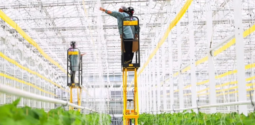 农业农村部：制定智慧农业相关补贴政策，加强智慧农业重点项目建设