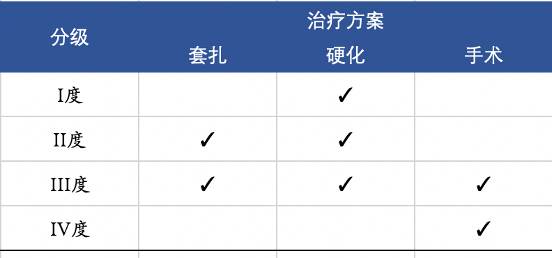 痔疮套扎吻合器怎么用内痔超级微创疗法——经内镜痔上直肠黏膜套扎术_https://www.jmylbn.com_新闻资讯_第7张