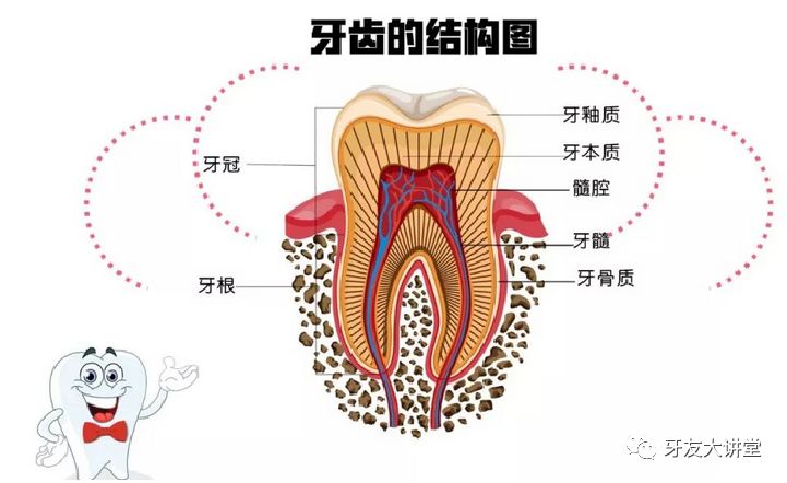 为什么蛀牙了不补，要做根管治疗呢？