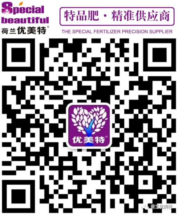 水溶肥料 水溶肥料