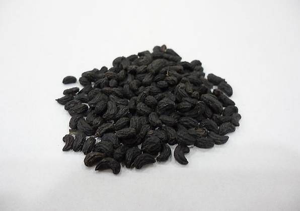 女贞子浸膏粉女贞子粉201提供样品检测