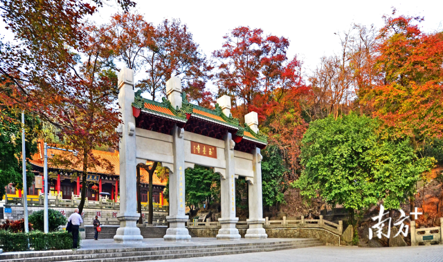 圭峰山玉台枫林。 府上图片