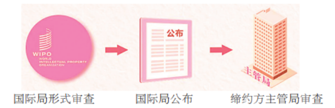 海牙协定|一文概览海牙协定视图要求