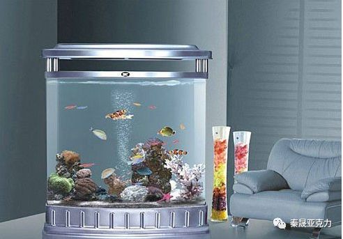 亚克力鱼缸的特性 秦晟亚克力 微信公众号文章阅读 Wemp