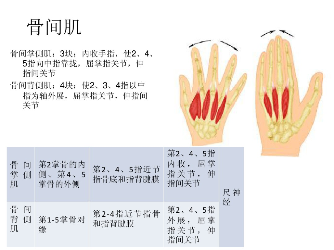 Muscle Wasting Left Hand: Atrophic flattening most ... | GrepMed