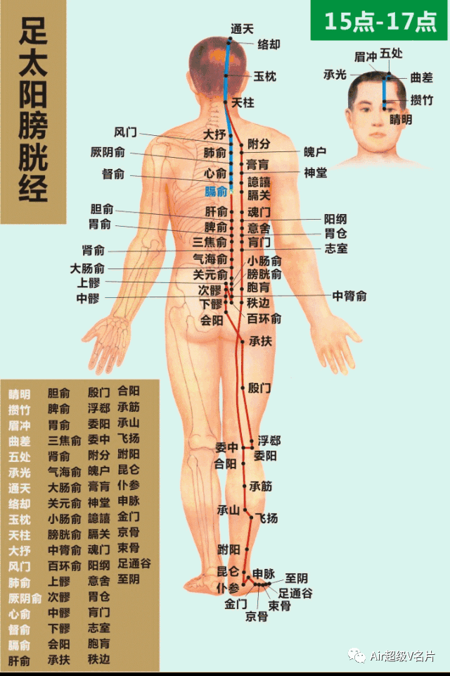 古法经络|膀胱经上几个比较常见且重要的穴位！
