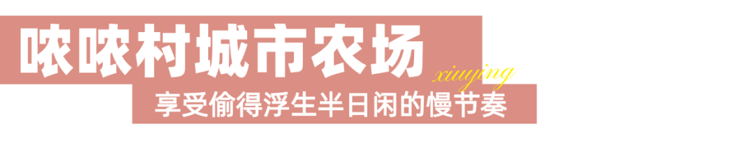 稿定设计-17.png