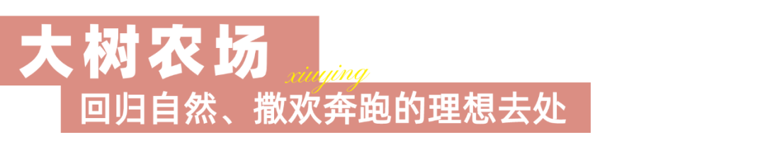 稿定设计-18.png