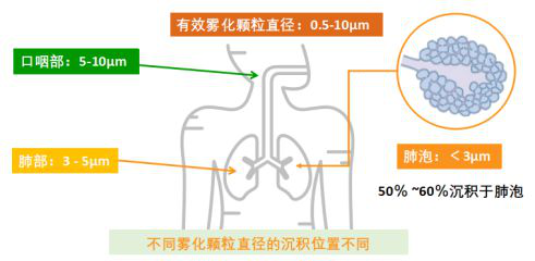 医院雾化机怎么用市直机关医院健康宣教｜“雾化吸入治疗”你都做对了吗_https://www.jmylbn.com_新闻资讯_第3张