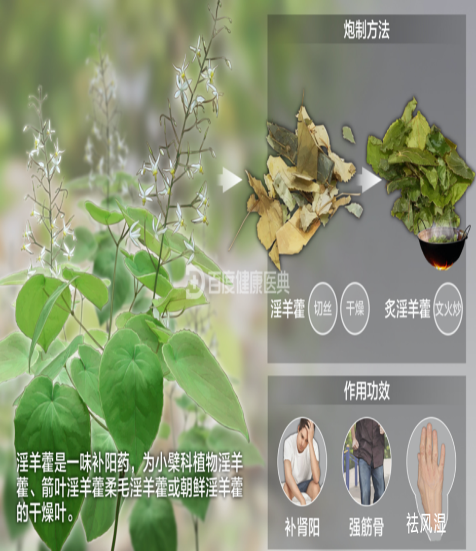 12种提升阳气的中药