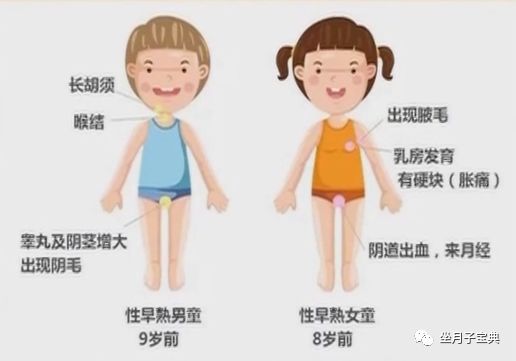 后悔吃了紫河车_常吃紫河车有什么副作用_紫河车吃了人体会发胖吗