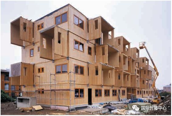 正交胶合竹木及其未来应用.png