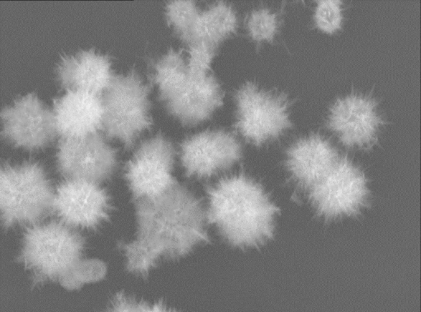 如何設(shè)置掃描電鏡（SEM）的參數(shù)設(shè)置（一）