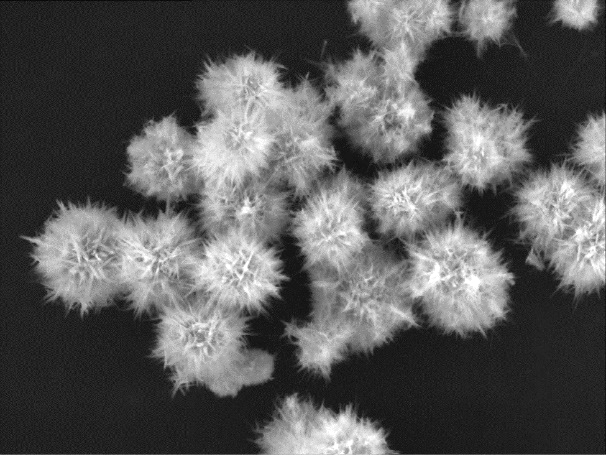如何設(shè)置掃描電鏡（SEM）的參數(shù)設(shè)置（一）