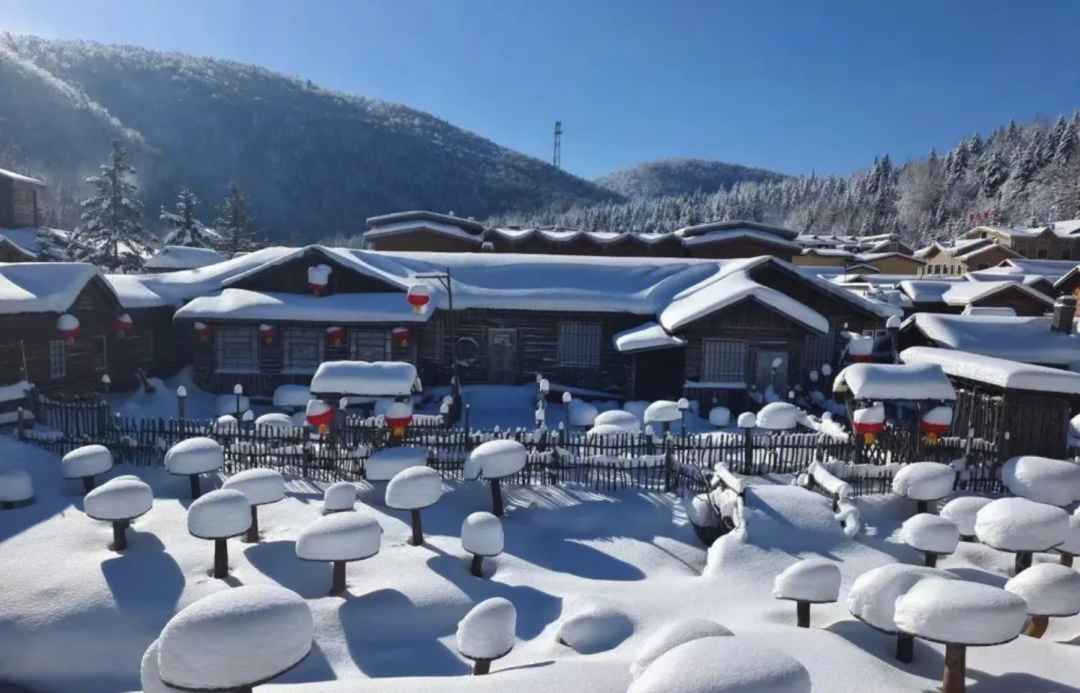 尔滨火了！网友预算18万求攻略，我给大家准备了一份哈尔滨最全旅游攻略，记得收藏