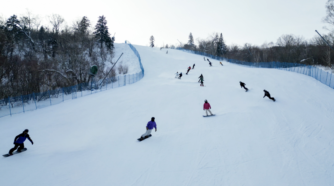 尔滨火了！网友预算18万求攻略，我给大家准备了一份哈尔滨最全旅游攻略，记得收藏