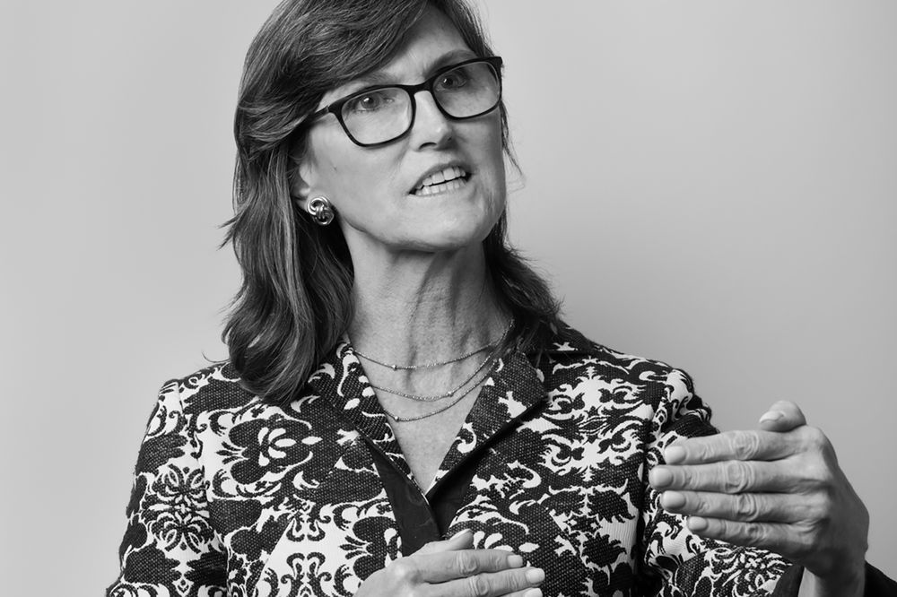 华尔街木头姐的投资秘诀是