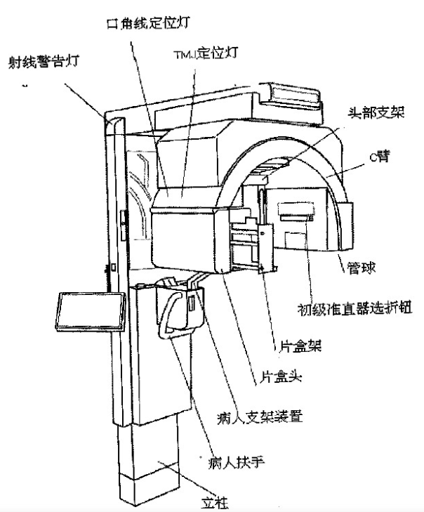 曲面断层片怎么看口腔精读 ｜ 一次性教你看懂曲面断层片！_https://www.jmylbn.com_新闻资讯_第2张