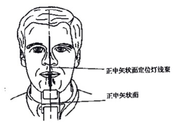 曲面断层片怎么看口腔精读 ｜ 一次性教你看懂曲面断层片！_https://www.jmylbn.com_新闻资讯_第3张