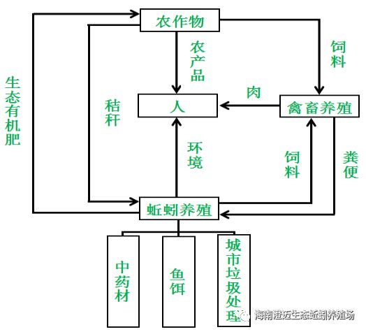 养殖致富经_致富养殖信息_致富养殖蝎子