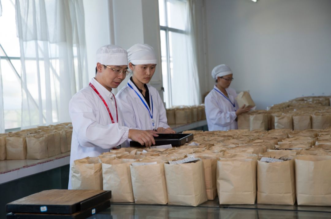 普洱茶拼配师：为了一款新茶，我拼出了100多个配方-天下网商-赋能网商，成就网商