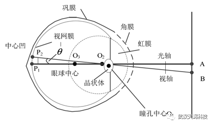 AR/VR行业兵家必争之地（下）-眼动追踪技术大全