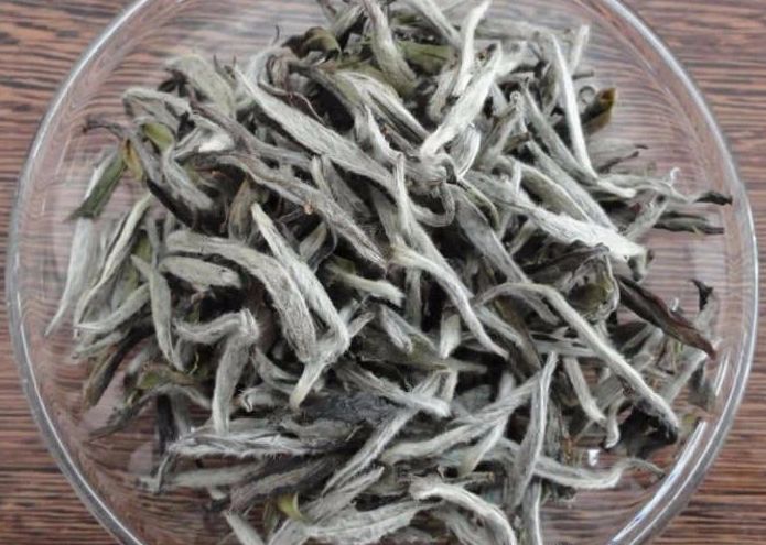 白茶，是散的好，还是茶饼好？