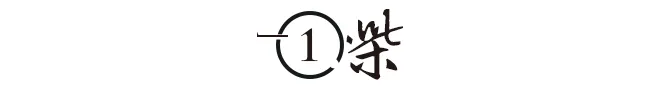 把根留住！32年16万儿童跨国收养后，中国为何按下 “停止键”？（组图） - 4