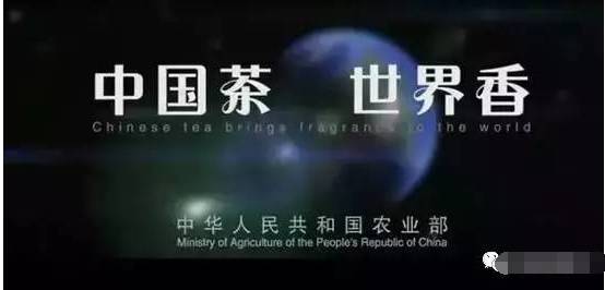 中国茶 世界香！安化黑茶,一个正在崛起的中国品牌，目标世界5