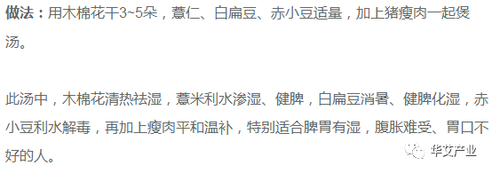 小暑过，热有三分湿七分！除湿开胃，用一膏两汤三妙招~|养生知识-南阳宛艾产业协会