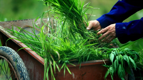 医用海藻棒怎么取建议两餐之间给娃吃点它！这几种食物营养高，娃吃了身体棒棒的_https://www.jmylbn.com_新闻资讯_第53张