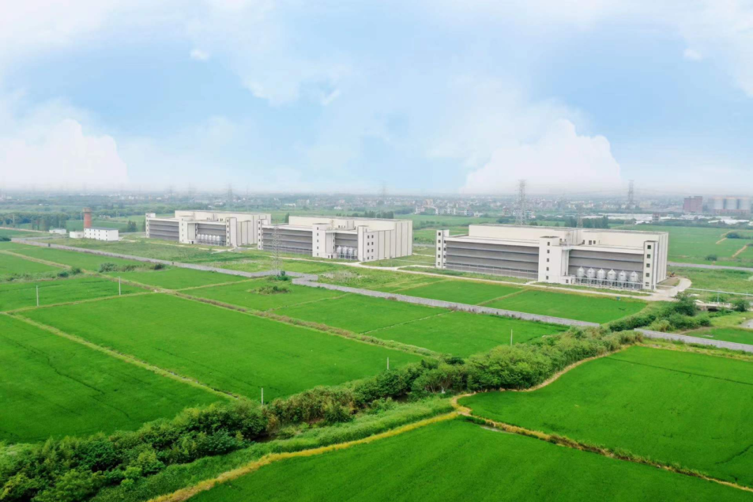 医用海藻棒怎么取建议两餐之间给娃吃点它！这几种食物营养高，娃吃了身体棒棒的_https://www.jmylbn.com_新闻资讯_第52张