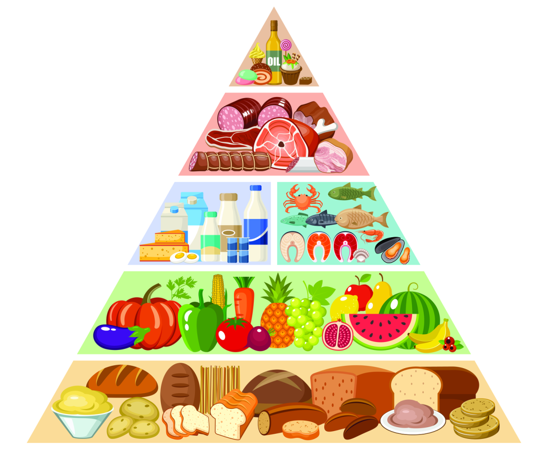 双能x骨密度检测仪为什么非得输入体重身高小心！千金难买老来瘦可能是病！——不信，来工人医院骨密度室做个体质分析检测吧_https://www.jmylbn.com_新闻资讯_第6张