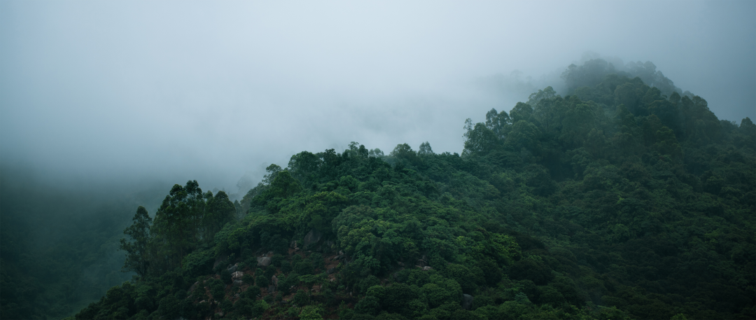 黄埔融创广府壹号77~140㎡，配套小学已确定！