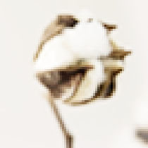 来电共享充电宝无论在质量、利润都是屈指可数_