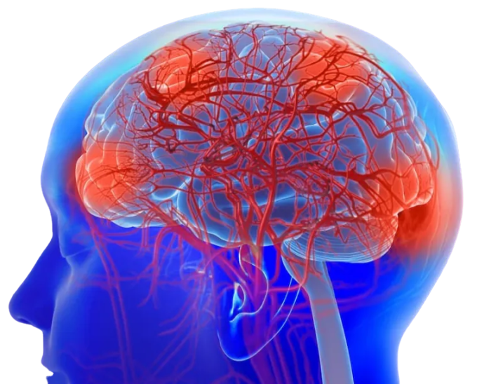 怎么上穿刺鞘【科普小站】肺癌软脑膜转移鞘内治疗最佳途径如何选择？_https://www.jmylbn.com_新闻资讯_第1张