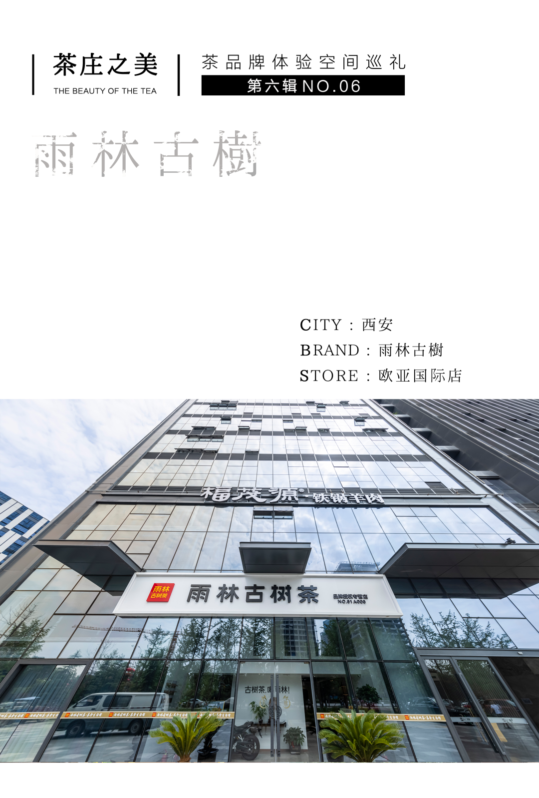 茶品牌体验空间巡礼第六辑 | 去雨林古树，赴江南茶宴插图1