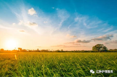 pca泵是什么患者应用镇痛泵（PCA）的护理要点_https://www.jmylbn.com_新闻资讯_第6张