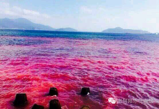 赤潮?赤不就是红色嘛,百度图片看看赤潮